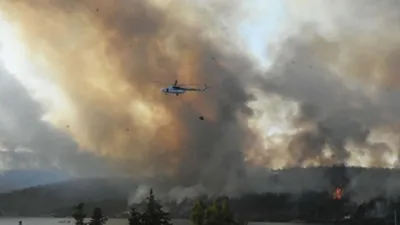 PKK'nın talimatıyla orman yakan hainin cezası belli oldu