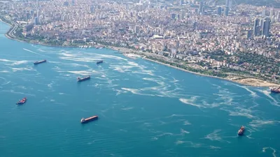 Liselilerin ''müsilaj alarmı'' projesi ABD'den ödül aldı