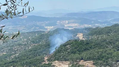 Muğla'da orman yangını