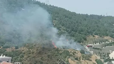 İzmir'de orman yangını