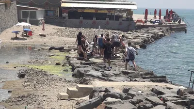 Bayram tatili öncesi sahilde şok manzara: Denize girmeye gelenler isyan etti