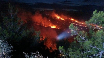 Yangınlarda küle dönen Bodrum ve Marmaris'teki ormanların son hali gündem oldu