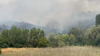 Elazığ'da korkutan orman yangını