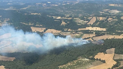 Isparta'da tarım arazisinde yangın