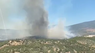 Muğla'da orman yangını
