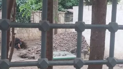 Defineciler İstanbul'da şehitliği talan etti