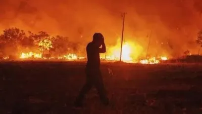 Yangın küle çevirmişti: Tamamı Afet Bölgesi ilan edildli