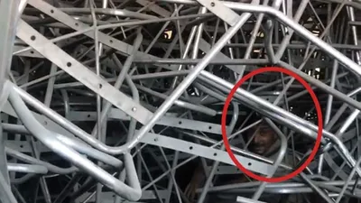 Kaçak göçmenler bu sefer bakın nereden çıktı
