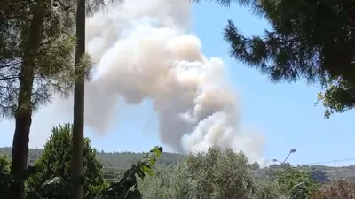 İzmir ve Balıkesir'de orman yangını