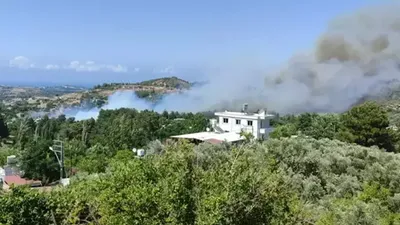Hatay ve Balıkesir'de orman yangını