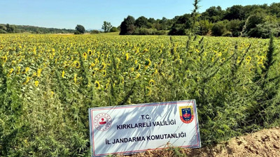 16 ilde ''Narkoçelik'' operasyonu: Çok sayıda gözaltı var