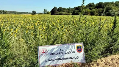 16 ilde ''Narkoçelik'' operasyonu: Çok sayıda gözaltı var