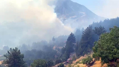 Kahramanmaraş'ta iki noktada yangın: Piknikçiler tahliye edildi