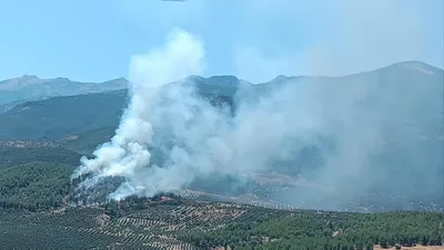 Hatay'da orman yangını