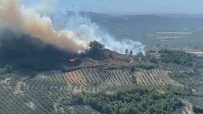 Manisa'da iki noktada orman yangını