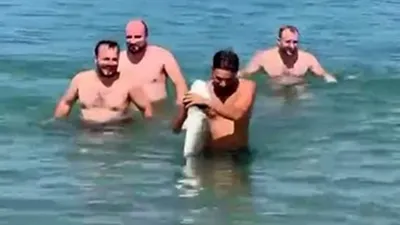 Plajda ilginç olay: Yüzmek için girdi, elinde bir devle çıktı