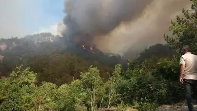 Bolu'da ormanlık alanda yangın