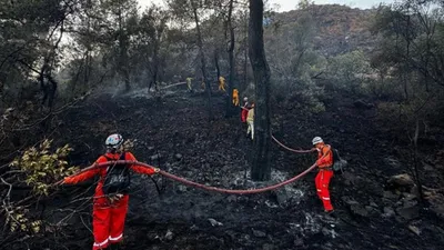 Datça'da çıkan orman yangınıyla ilgili bir tutuklama