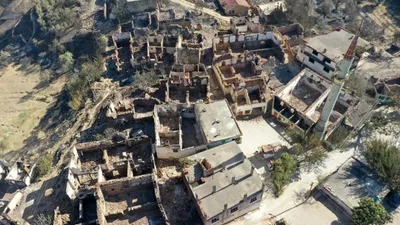 Ege'nin yemyeşil dağlarnda, yangınlardan geriye kalanlar kahretti