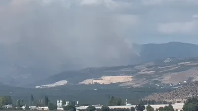 Yeşil Bursa'nın cenneti İznik'te büyük orman yangını