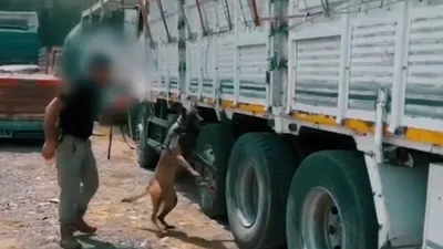 42 ilde ''zehir'' operasyonu: 227 kişi yakalandı