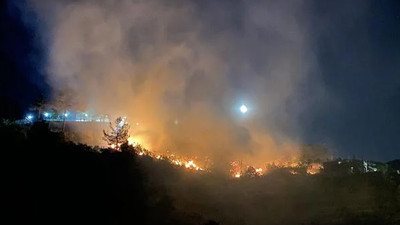 Kahramanmaraş'ta orman yangını
