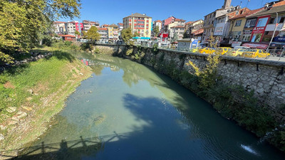 Bartın Irmağı nefessiz kaldı; yüzlerce balık öldü