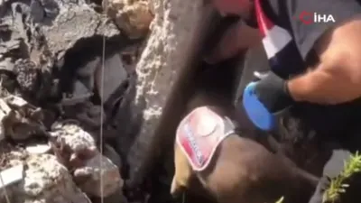 19 ilde dev operasyon: Onlarca gözaltı var