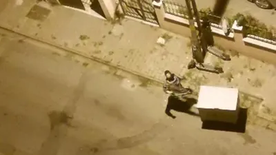 Tam 1000 kilometre uzaktan gelip, ortalığı birbirine kattı