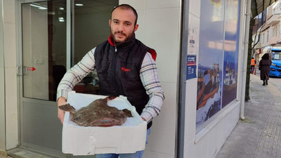 Karadeniz'de denizden bir canavar çıktı