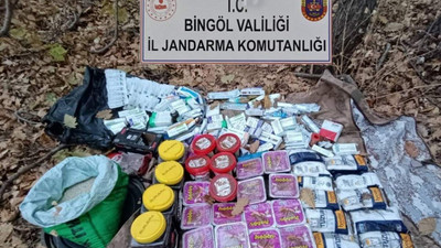 PKK'nın Bingöl'deki inine girildi