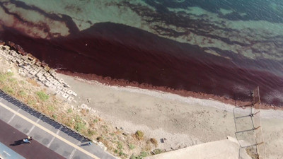 Tekirdağ sahilleri kızıla boyandı