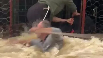 Sel suları arasında, mahsur kalan köpek için film gibi kurtarma operasyonu