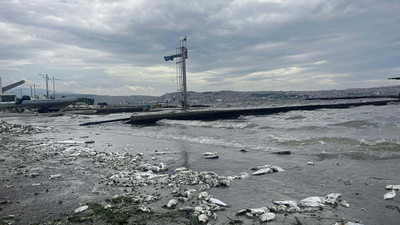 Ege'nin incisi İzmir'den mide bulandıran manzara!