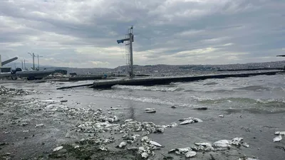 Ege'nin incisi İzmir'den mide bulandıran manzara!