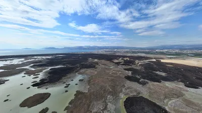 Kuş cennetinde kahreden manzara