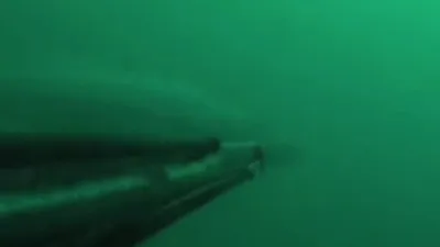 Çanakkale'de denizden çıkan dev! Tek nefeste zıpkınla avladı