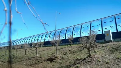 Türkiye'yi saracak gürültü kirliliği bariyerleri kamerada