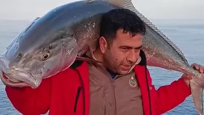 Hataylı depremzede denizde bir canavar yakaladı!