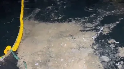 Balıkçılar pes etti! Av sezonu ''zorunlu'' olarak erken kapandı