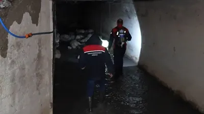 Kırıkkale'de ''ölümcül koku'' paniği: 23 hayvan telef oldu; AFAD bölgede...