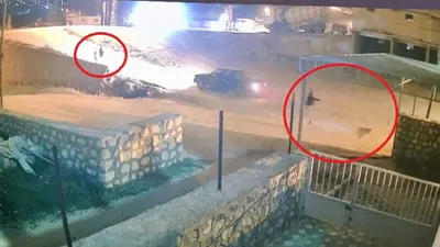Fotoğraftaki gerçek hayvanı görüyor musunuz ?