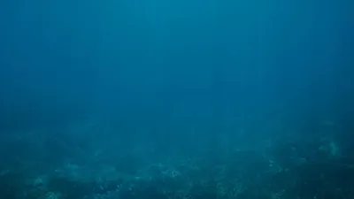 Okyanusun derinliklerinde gizli binlerce dağ keşfedildi