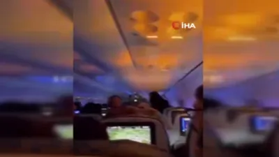 Yolcu uçağının motora giren tavşan yüzünden alev topuna döndü