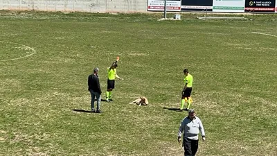 Hakem maç sırasında sahaya giren köpeğe kırmızı kart gösterdi