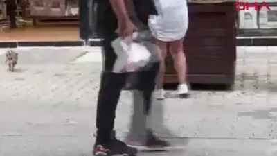 Yavru yaban domuzu Fethiye'de bir mağazaya dalınca olanlar oldu...