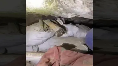 Terör örgütü PKK'ya ''Pençe'' darbesi