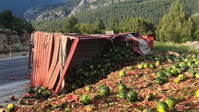 Kamyon devrildi, yol karpuz tarlasına döndü