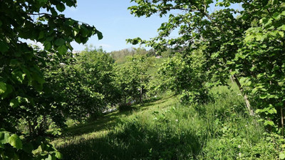 Karadeniz'in kabusuna karşı buldukları yöntem herkesi şaşırttı