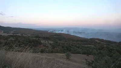 Kocaeli'de orman ve makilik alanlara giriş yasaklandı
